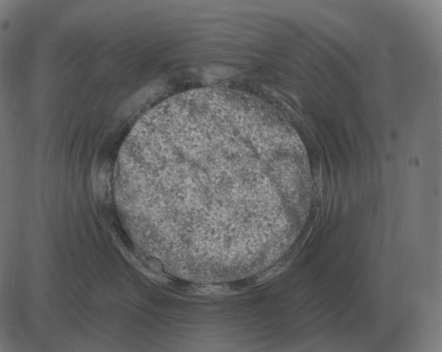 X0000081420527200702092137