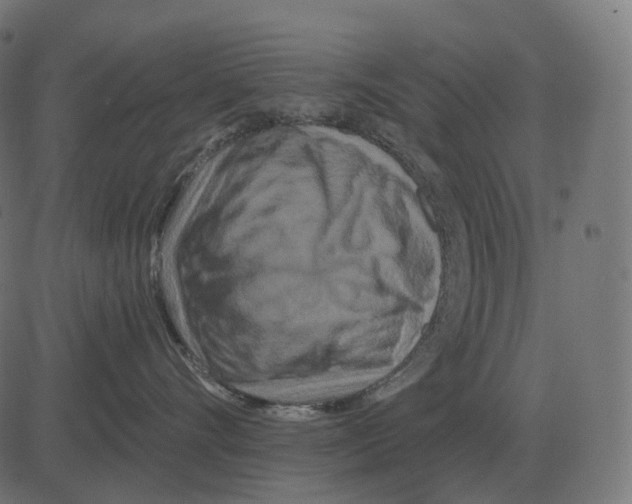 X0000081420528200702092137