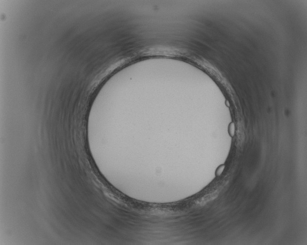 X0000081420529200702092136