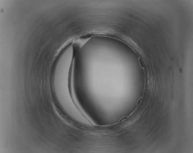 X0000081420530200702092136