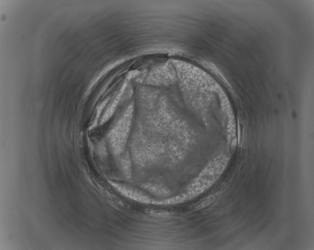 X0000081420531200702092136