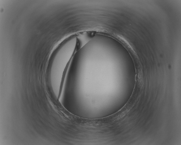 X0000081420532200702092136