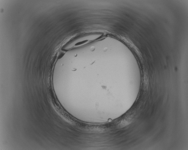 X0000081420533200702092136