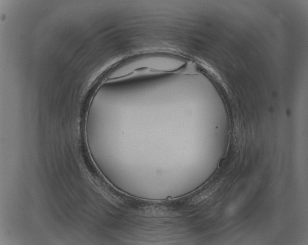 X0000081420535200702092136