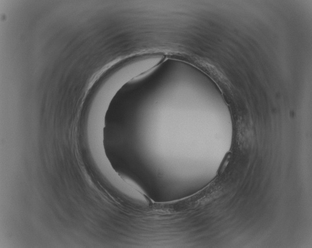 X0000081420536200702092136