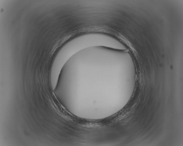 X0000081420537200702092136