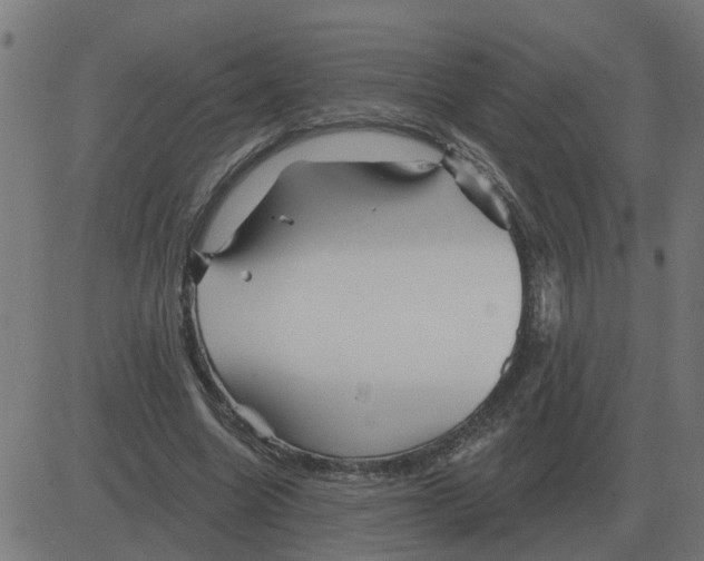 X0000081420538200702092136