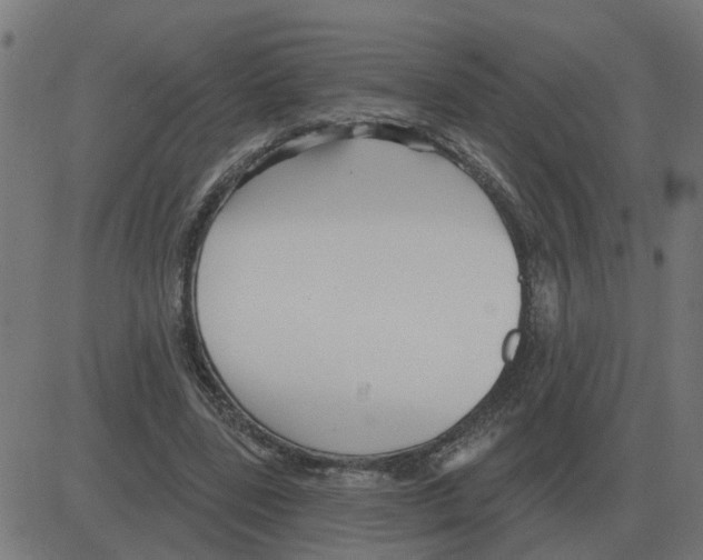 X0000081420539200702092136