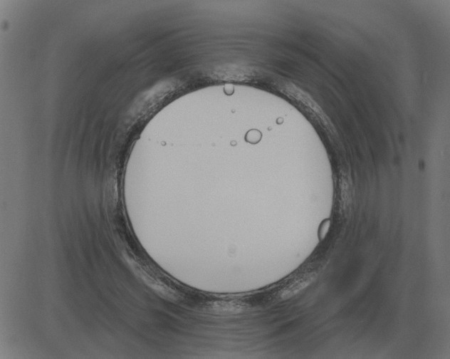 X0000081420541200702092136