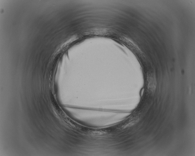 X0000081420542200702092136