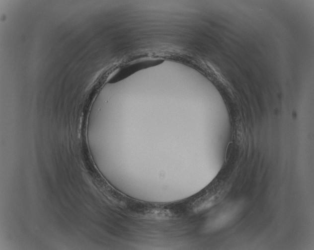 X0000081420543200702092136