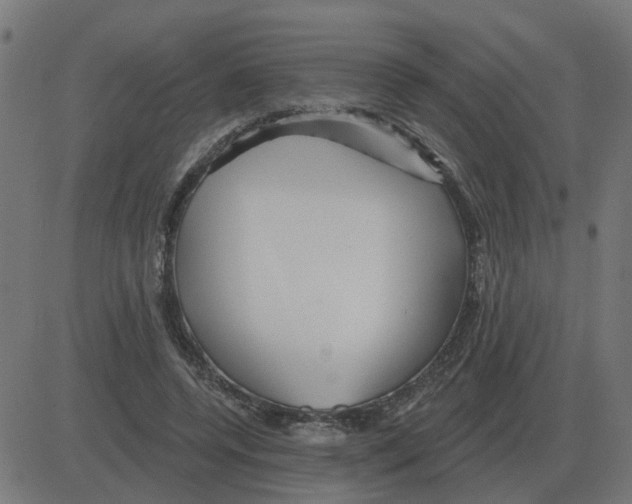 X0000081420544200702092136