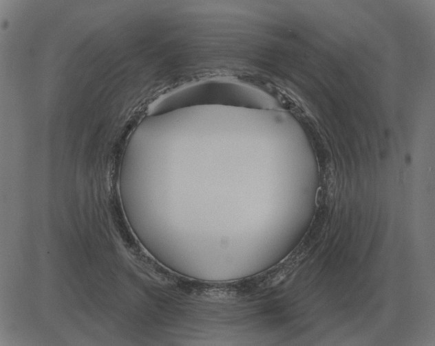 X0000081420546200702092136