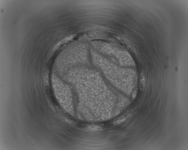 X0000081420547200702092136