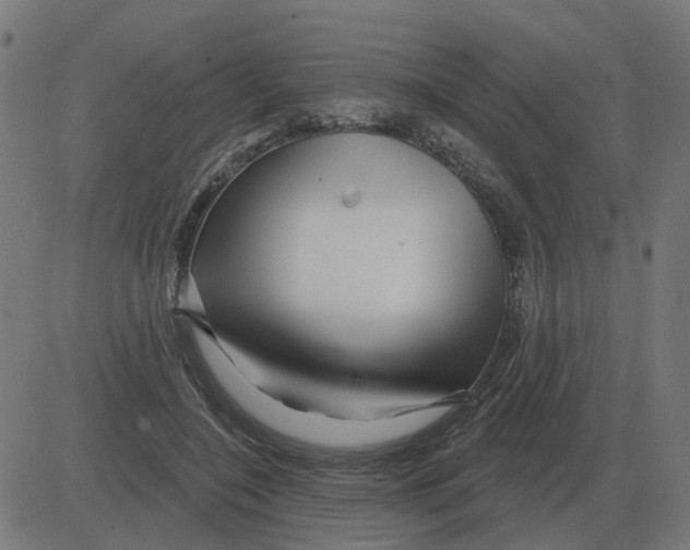 X0000081420548200702092136