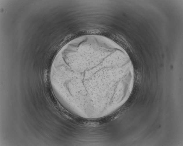 X0000081420549200702092136