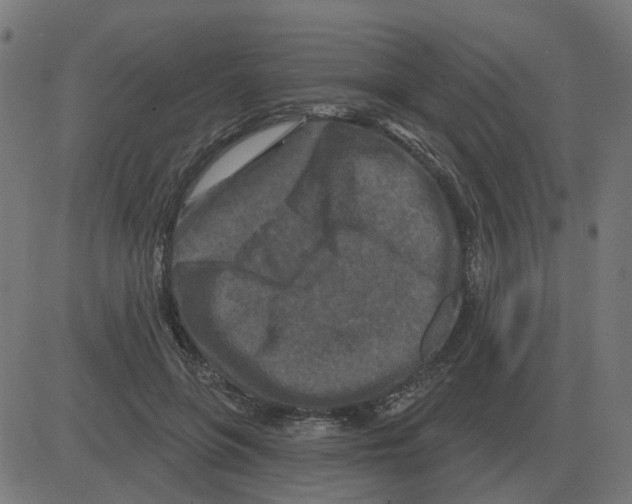 X0000081420551200702092136