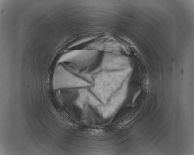 X0000081420552200702092136