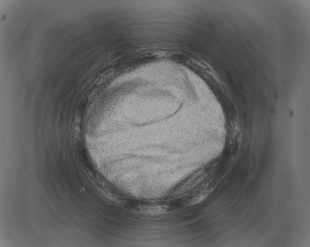 X0000081420553200702092136