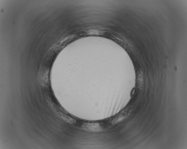 X0000081420554200702092136