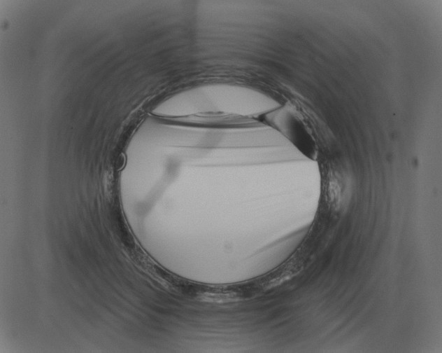 X0000081420556200702092136