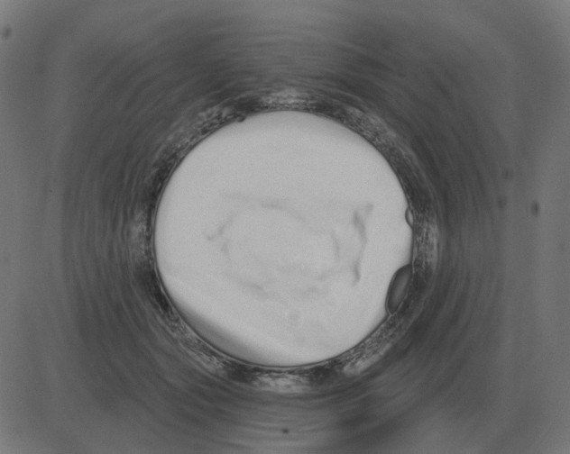 X0000081420557200702092136