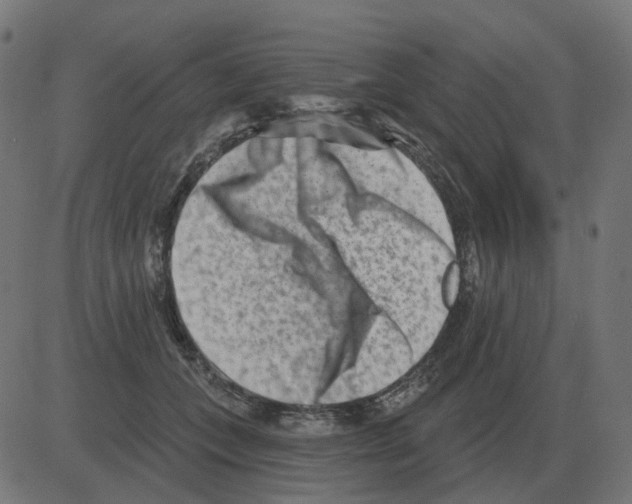 X0000081420559200702092136