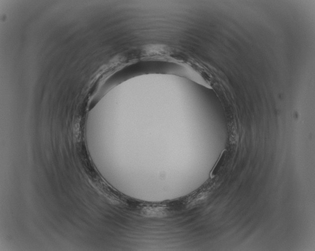 X0000081420560200702092136