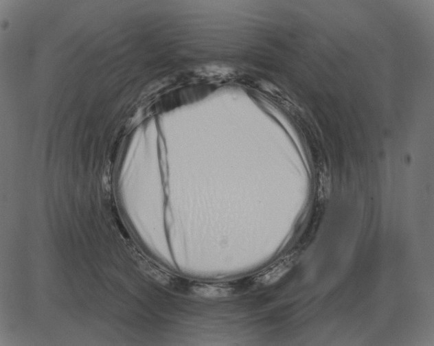 X0000081420561200702092136