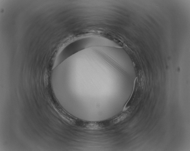 X0000081420562200702092136