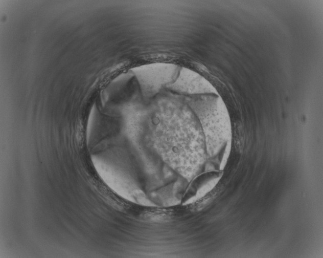 X0000081420563200702092136