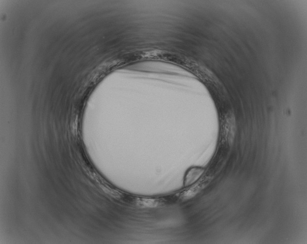 X0000081420565200702092137