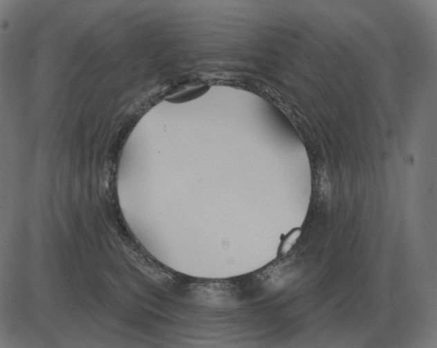 X0000081420567200702092137