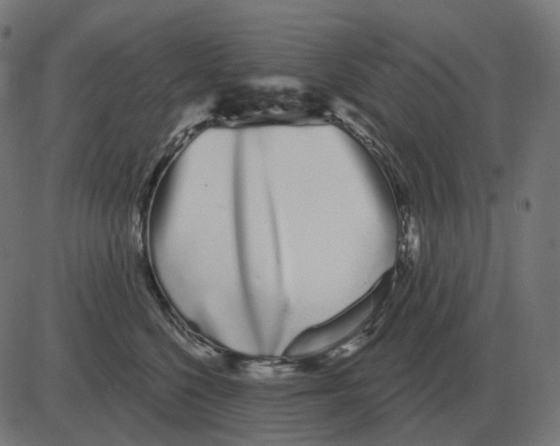 X0000081420568200702092137