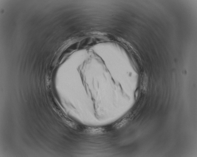 X0000081420569200702092137