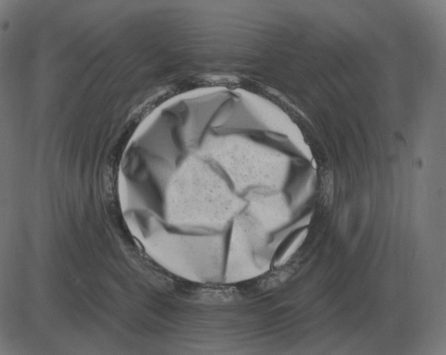 X0000081420571200702092137