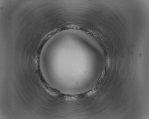 X0000081420572200702092137