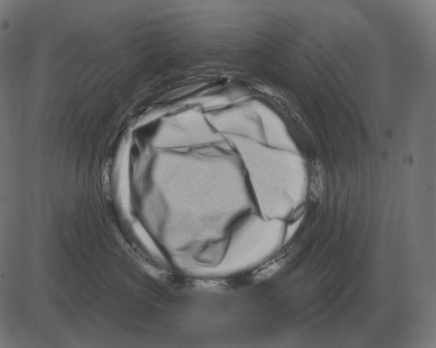 X0000081420573200702092137