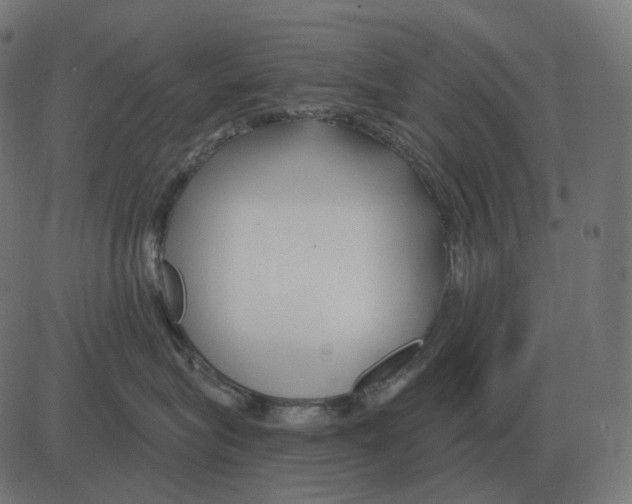 X0000081420575200702092137