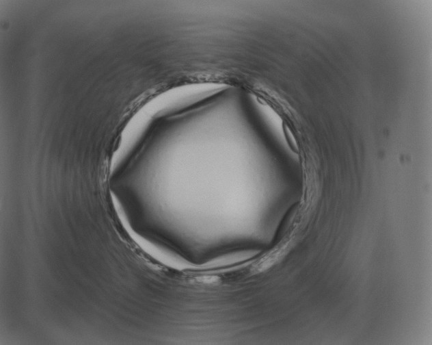 X0000081420576200702092137