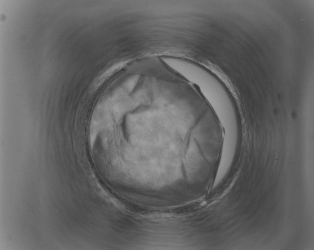 X0000081420577200702092136