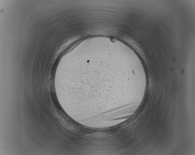 X0000081420578200702092136