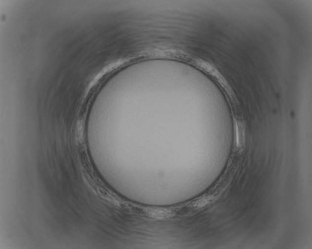 X0000081420579200702092136