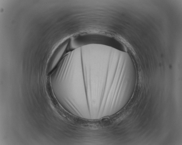 X0000081420580200702092136