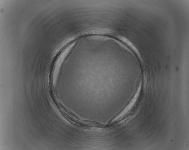 X0000081420581200702092136