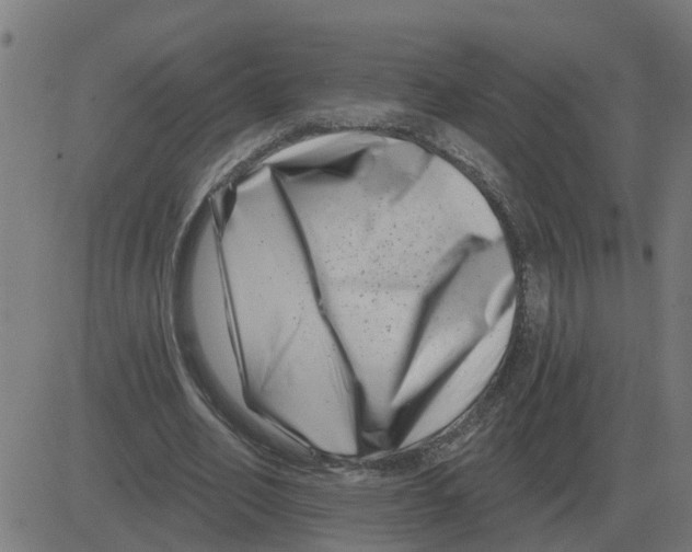 X0000081420582200702092136