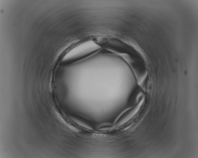 X0000081420585200702092136