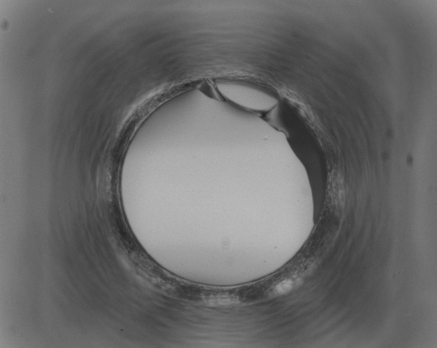 X0000081420587200702092136