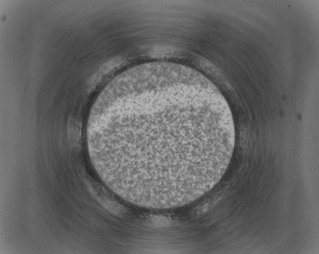 X0000081420592200702092136