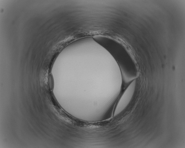 X0000081420593200702092136